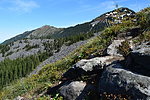 photo thumbnail #11