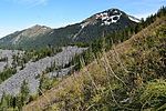 photo thumbnail #15