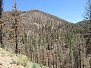 photo thumbnail #10