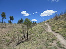 photo thumbnail #3