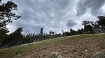 photo thumbnail #13