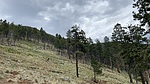 photo thumbnail #14