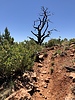 photo thumbnail #10