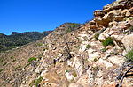 photo thumbnail #7