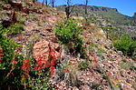 photo thumbnail #10