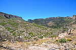 photo thumbnail #13