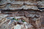 photo thumbnail #7