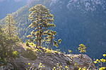 photo thumbnail #4