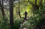 photo thumbnail #7