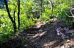 photo thumbnail #12