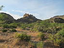 photo thumbnail #6