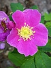 photo thumbnail #3