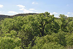 photo thumbnail #13