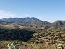 photo thumbnail #7