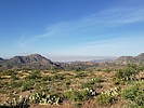 photo thumbnail #8