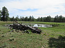 photo thumbnail #9