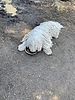 photo thumbnail #13