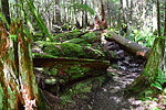 photo thumbnail #6