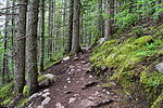 photo thumbnail #7