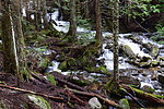 photo thumbnail #9