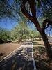 photo thumbnail #9