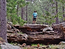photo thumbnail #8