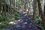 photo thumbnail #7