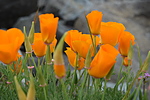 photo thumbnail #14