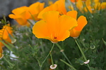 photo thumbnail #15