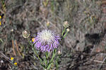 photo thumbnail #11
