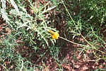 photo thumbnail #14