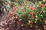 photo thumbnail #15