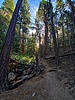 photo thumbnail #13