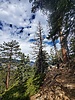 photo thumbnail #14