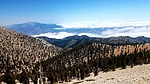 photo thumbnail #15