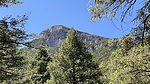 photo thumbnail #12