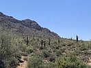 photo thumbnail #2