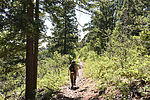 photo thumbnail #2