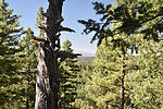 photo thumbnail #7