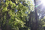 photo thumbnail #11