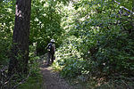 photo thumbnail #12