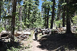 photo thumbnail #2
