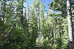 photo thumbnail #15
