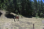 photo thumbnail #2