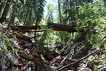 photo thumbnail #8