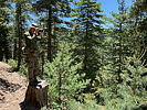 photo thumbnail #10