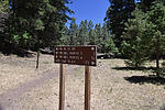 photo thumbnail #12