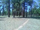 photo thumbnail #6