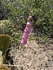 photo thumbnail #14