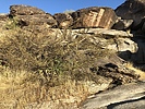 photo thumbnail #2